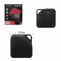  BLUETOOTH FJ-1 (FM, USB, microSD)  - avkmobile.ru - 